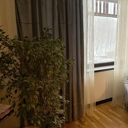 “la Iepure” * Brašov