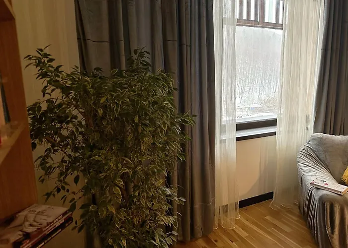 “la Iepure” * Braşov